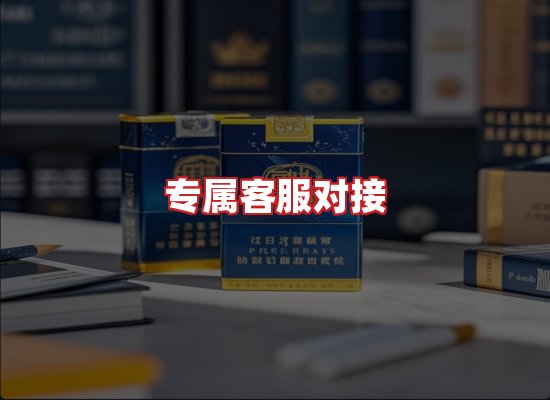 专业团队